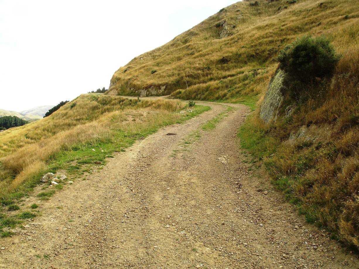 Image: WCC, 2014